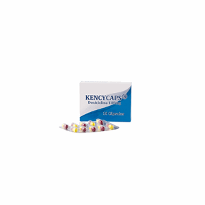 Kencycaps 100 Mg Caja X 10 Capsulas - Kencycaps