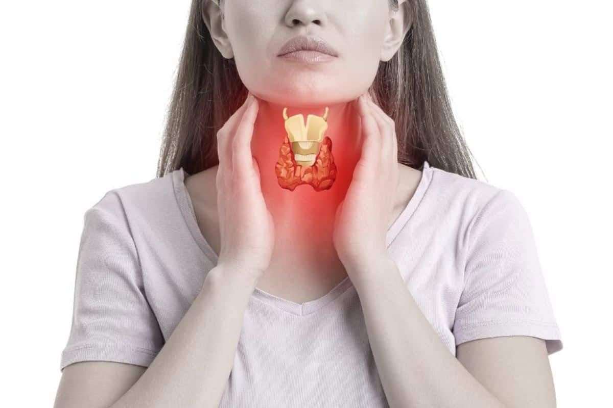 Tu Tiroides en Equilibrio